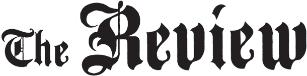 website logo
